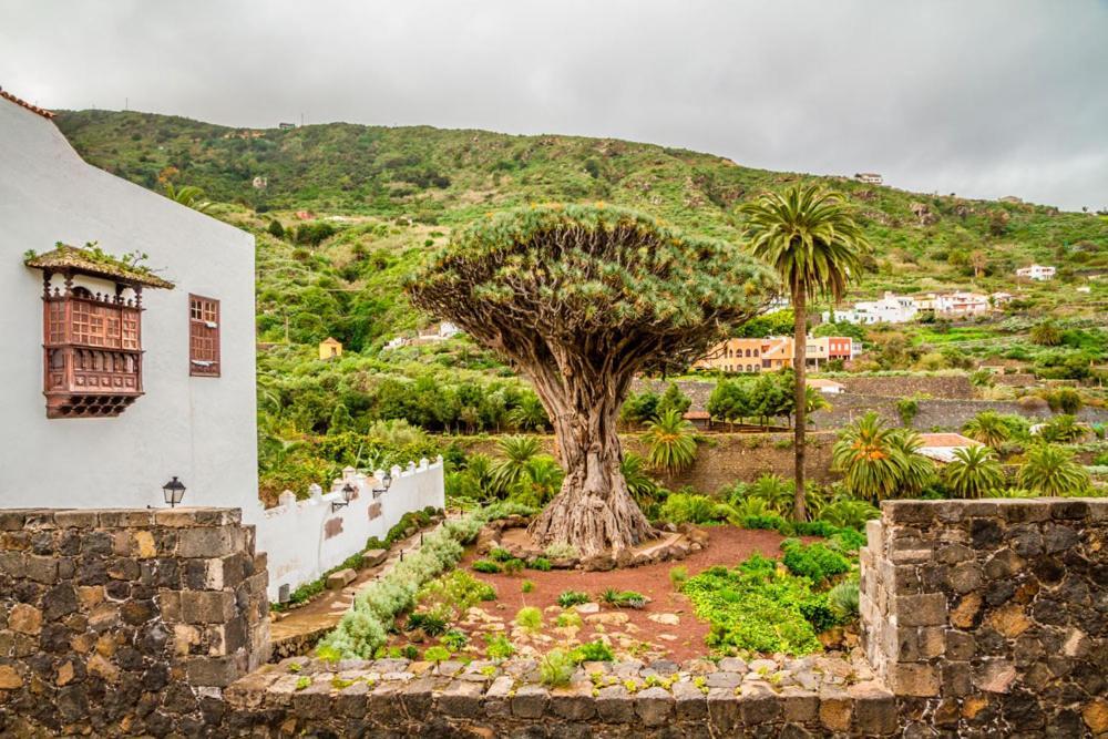Apartmán Acogedor Estudio En Playa San Marcos, Icod De Los Vinos Exteriér fotografie