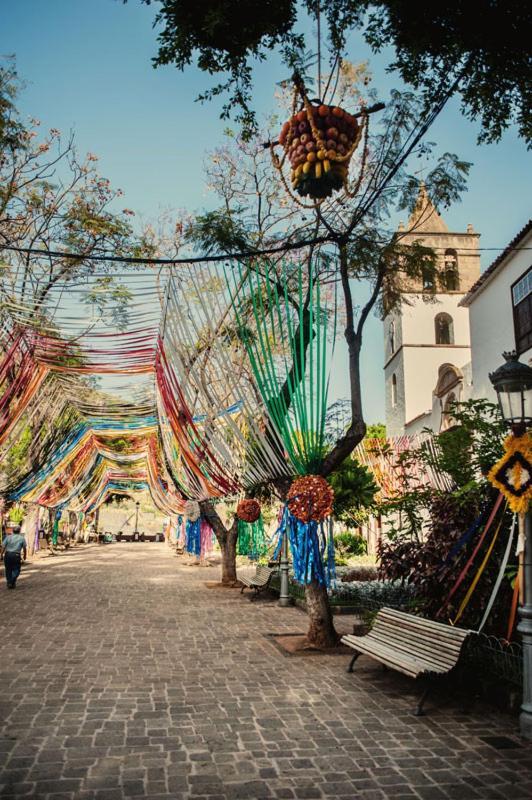 Apartmán Acogedor Estudio En Playa San Marcos, Icod De Los Vinos Exteriér fotografie